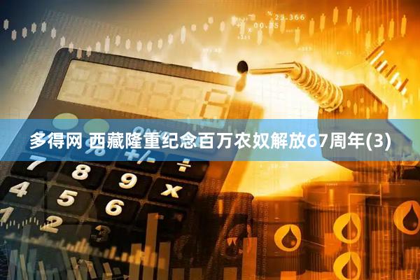 多得网 西藏隆重纪念百万农奴解放67周年(3)