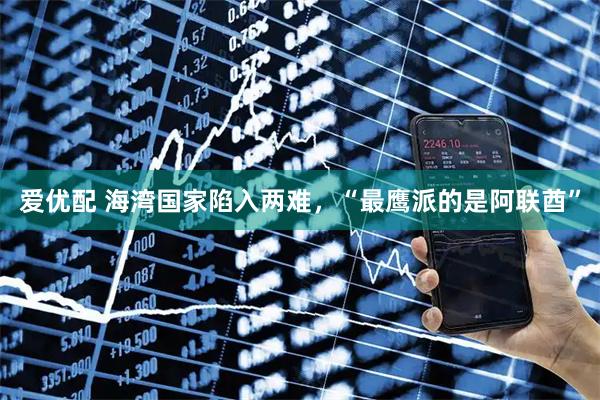 爱优配 海湾国家陷入两难，“最鹰派的是阿联酋”