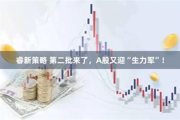 睿新策略 第二批来了，A股又迎“生力军”！