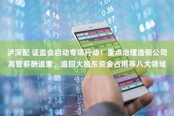 泸深配 证监会启动专项行动！重点治理造假公司高管薪酬追索、追回大股东资金占用等八大领域