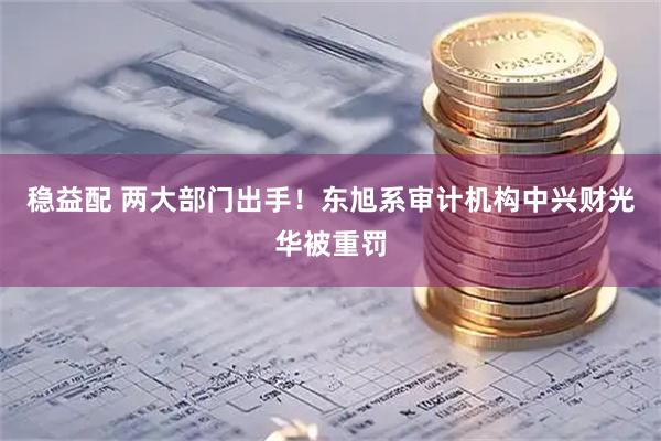稳益配 两大部门出手！东旭系审计机构中兴财光华被重罚